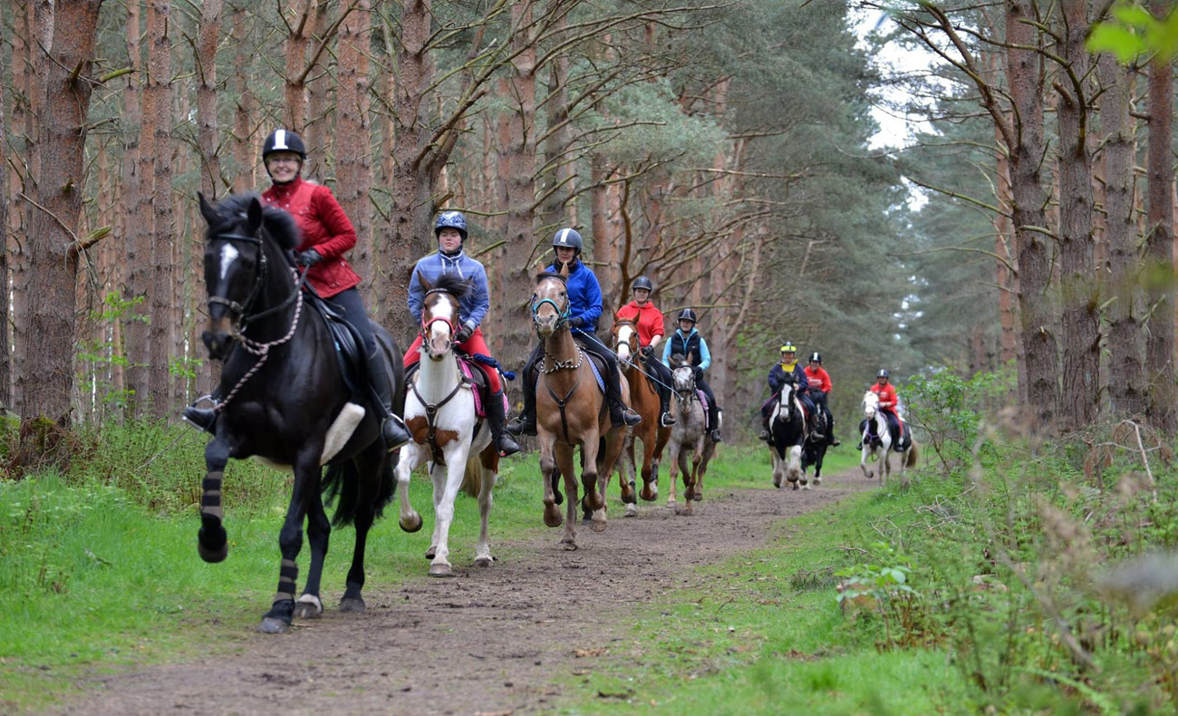 Horse trail Scotland