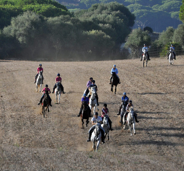 Caballos al galope