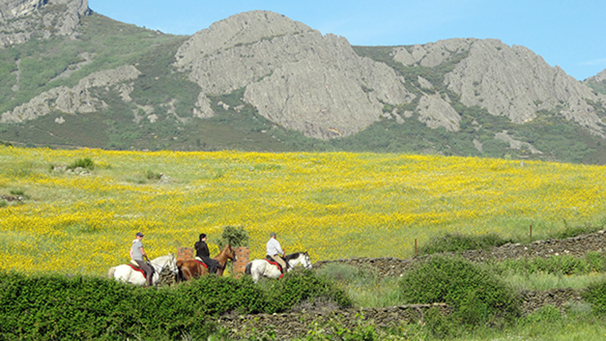 paseo por el campo