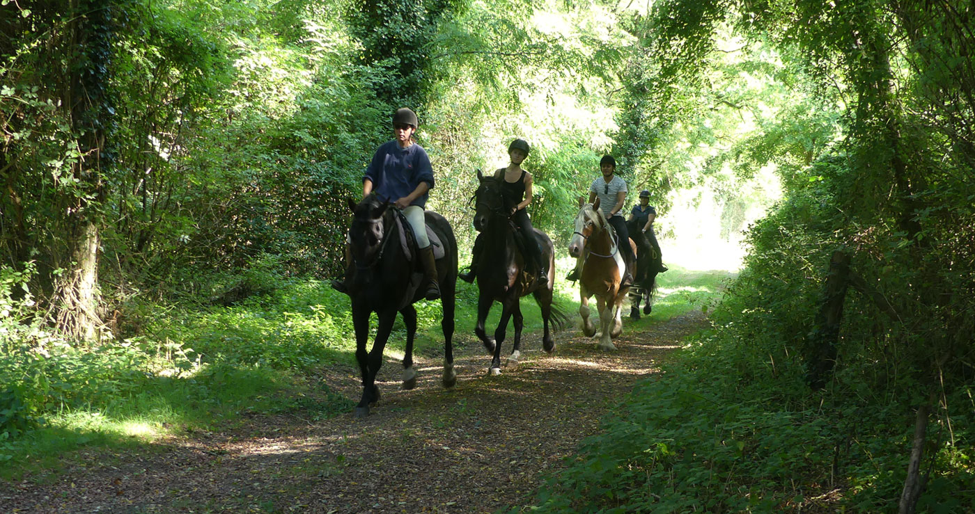 Ruta por el campo francés