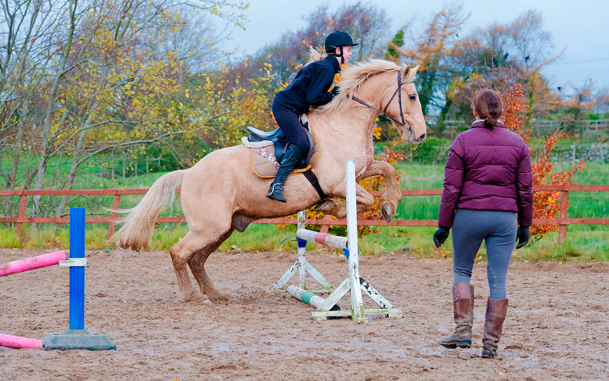 Cours d'équitation