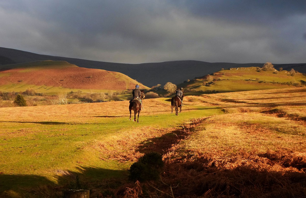 Horse trail Wales