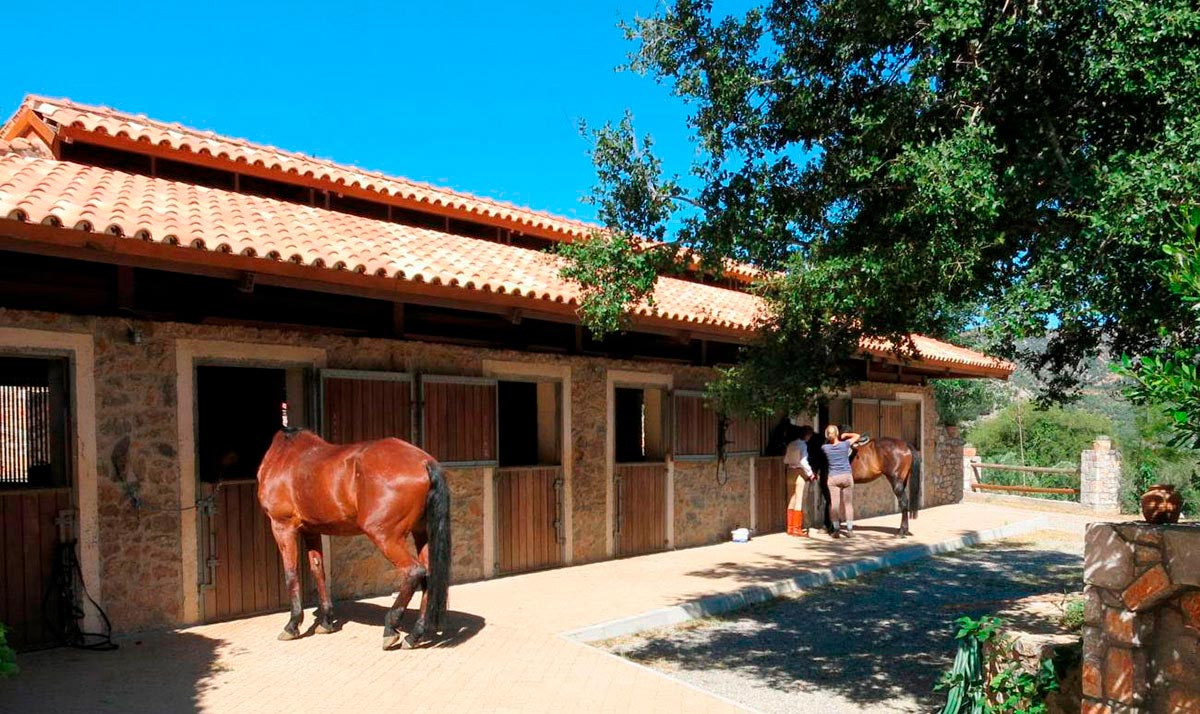 Stables