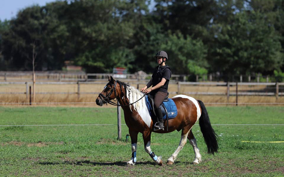 Horse rider Holland
