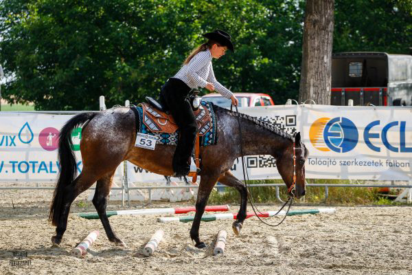 Cours d'équitation Hongrie