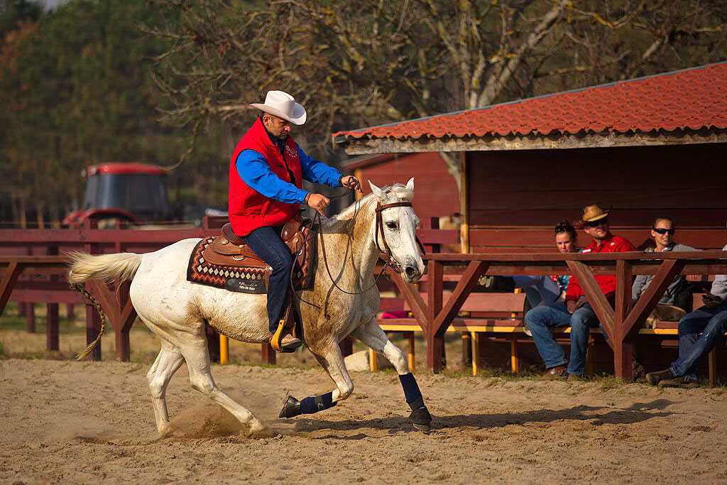 Hungary cowboy