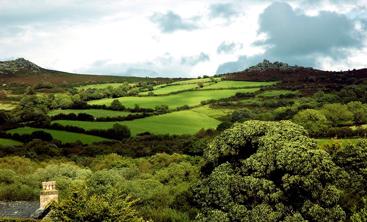 Parc National Dartmoor