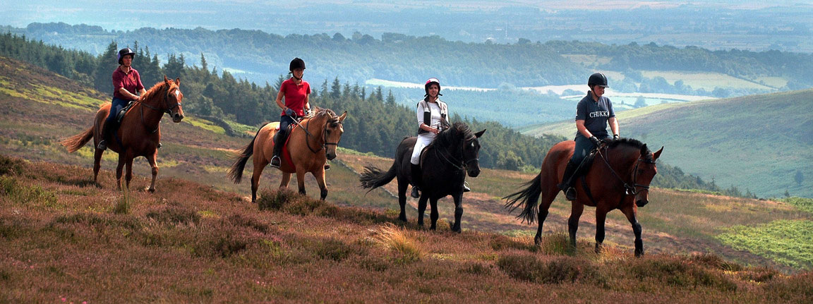England Horse Ride
