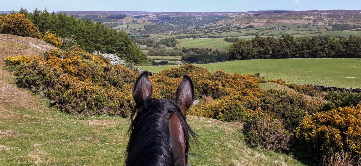 Yorkshire