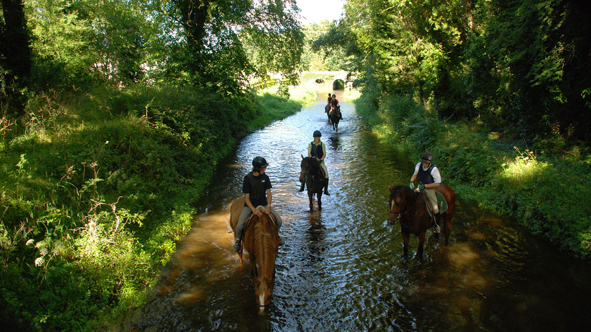 Équitation sur la rivière