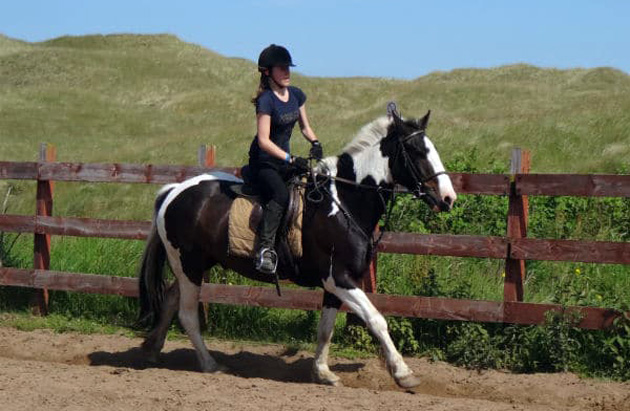 Cours d'équitation