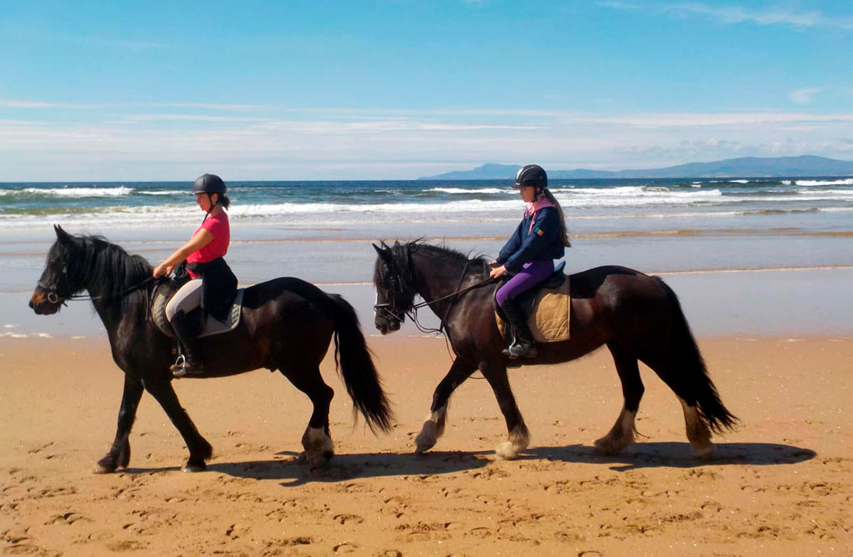 Trotting horse ride on the beach