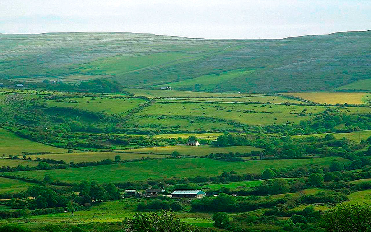 Green meadows of Ireland