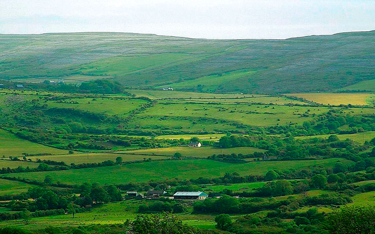 Vertes prairies d'Irlande