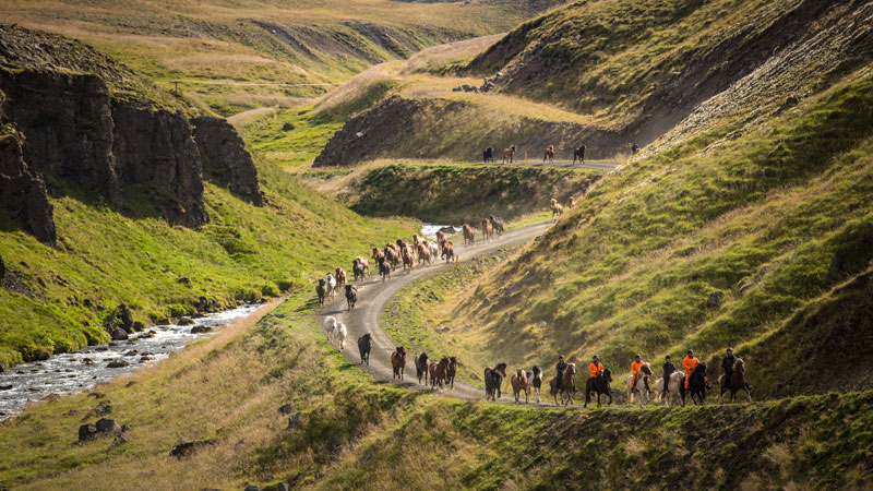 Route à cheval