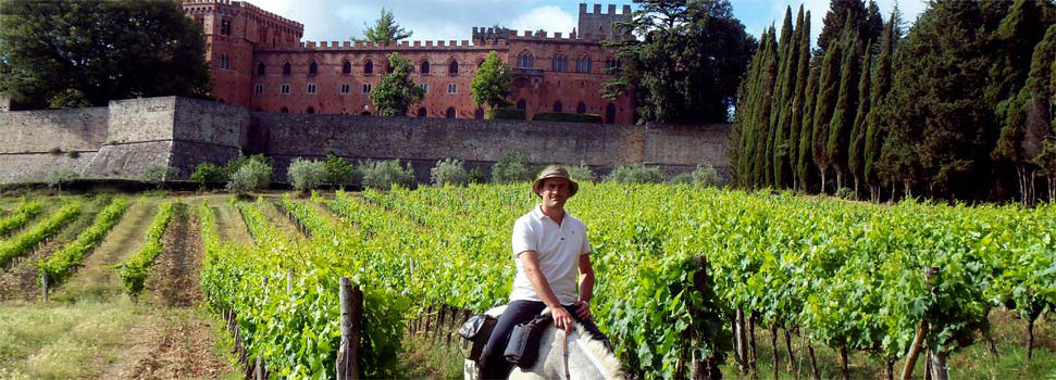 Vue sur les vignes avec le château en arrière-plan