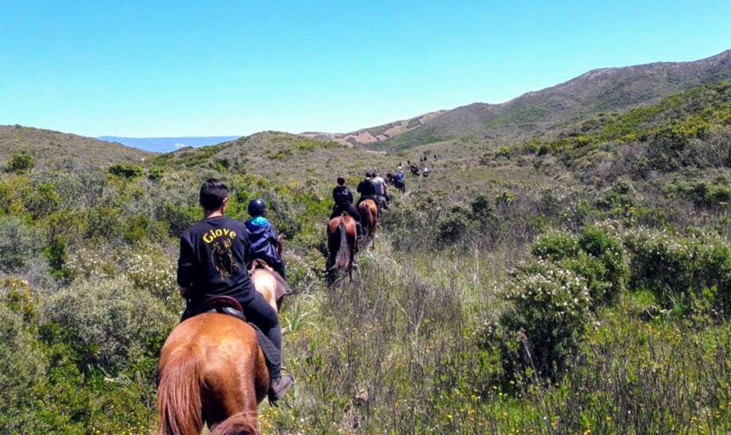 Route à travers la Sardaigne