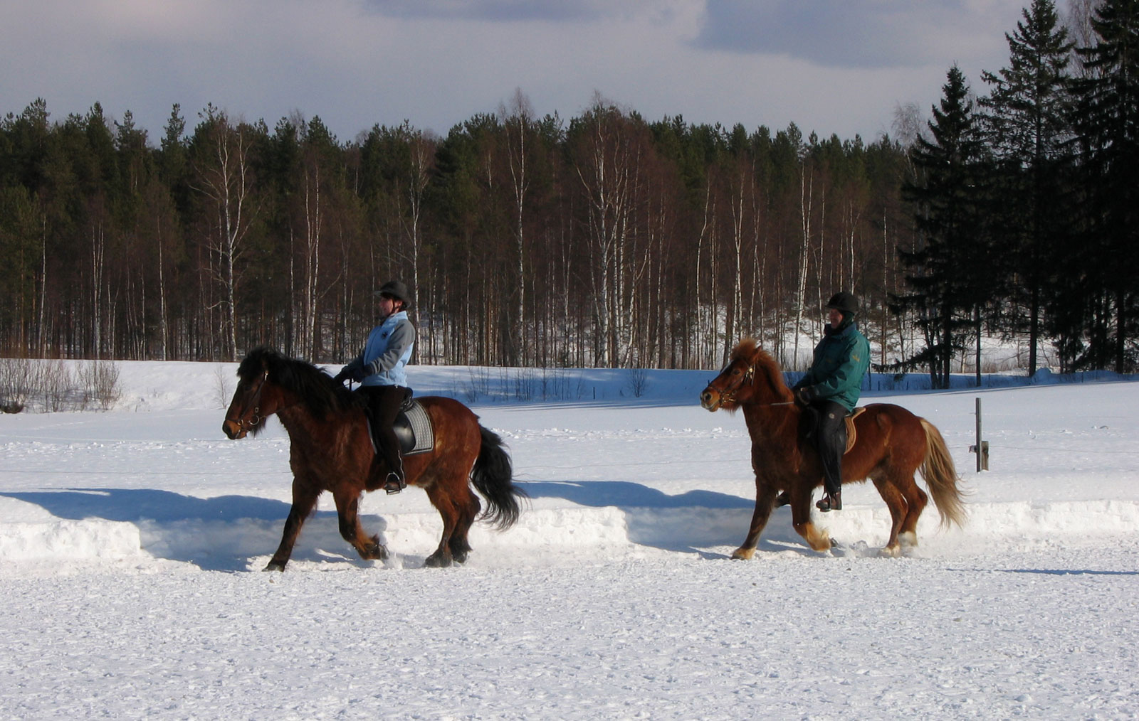 Equestrian Tourism Offer in Europe