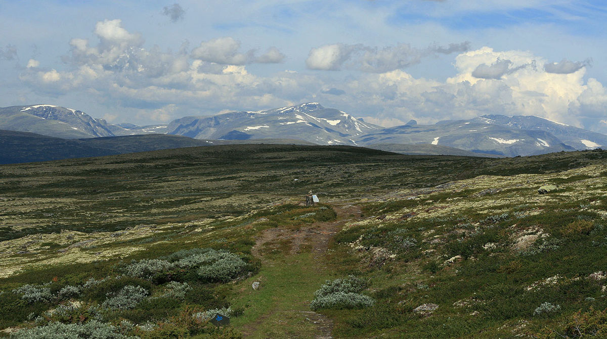 Parc national de Dovrefjell