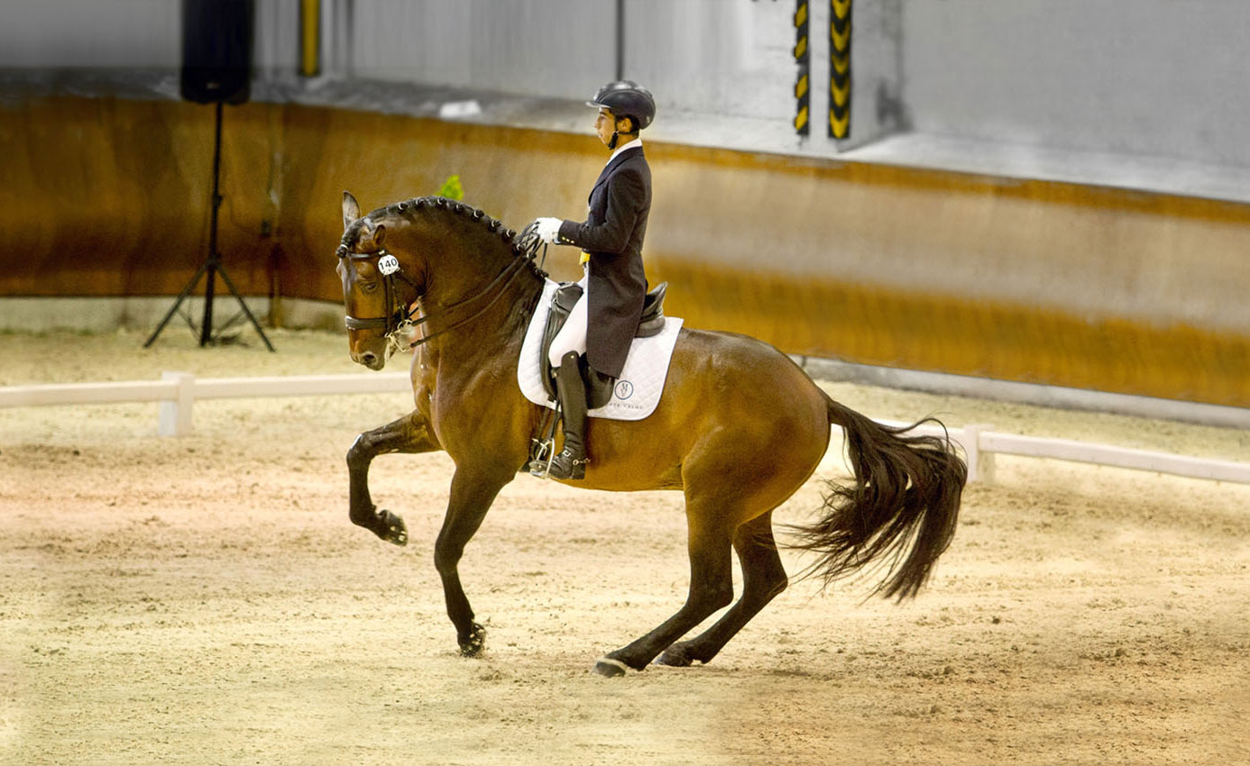 Portugal Cours d'équitation