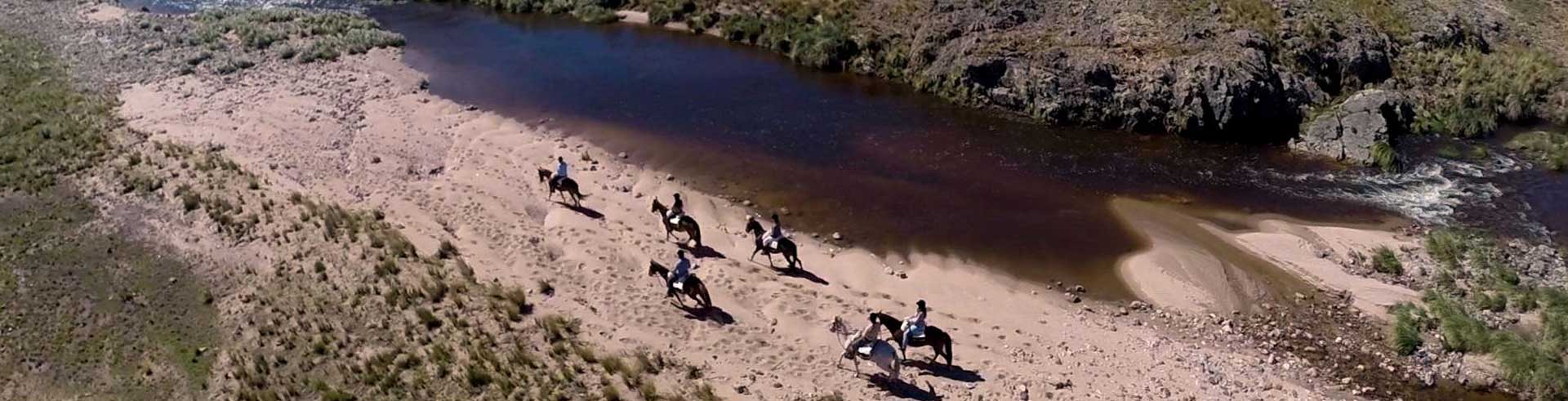 Caballos para montar