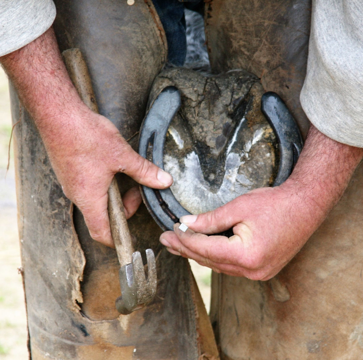 The horseshoe with nails