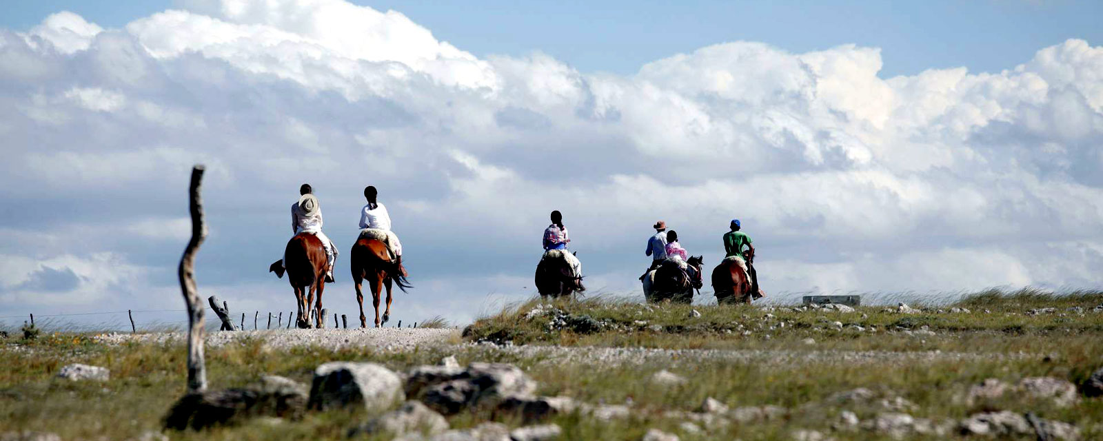 Peruvian Paso Horse - Routes in Argentina
