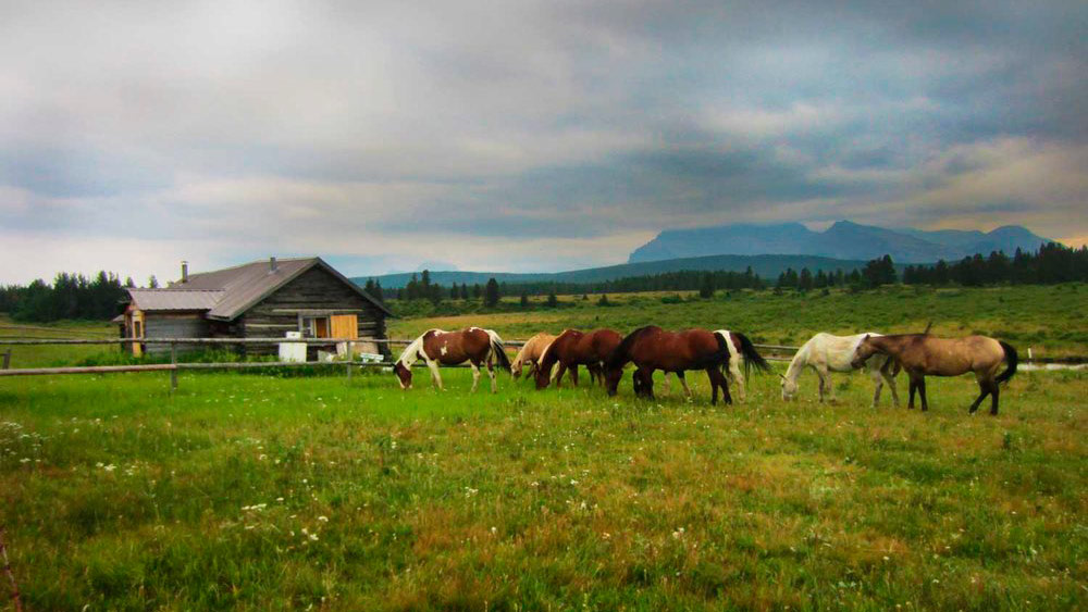 Blockhütten Alberta