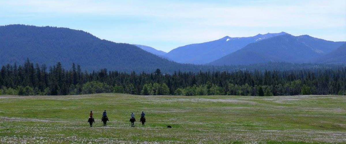 British Columbia Horse trail