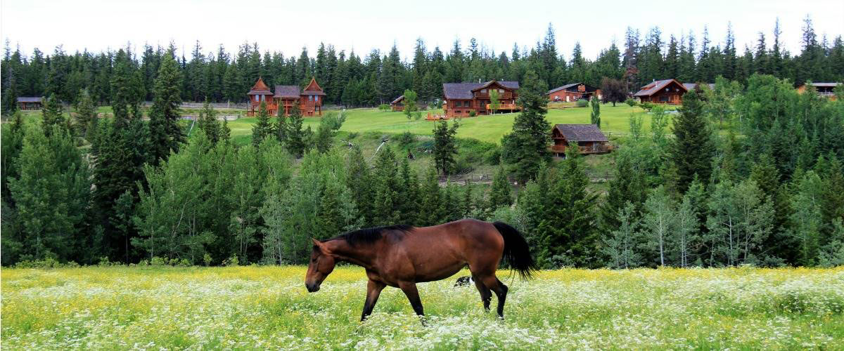 Ranch Views British Columbia