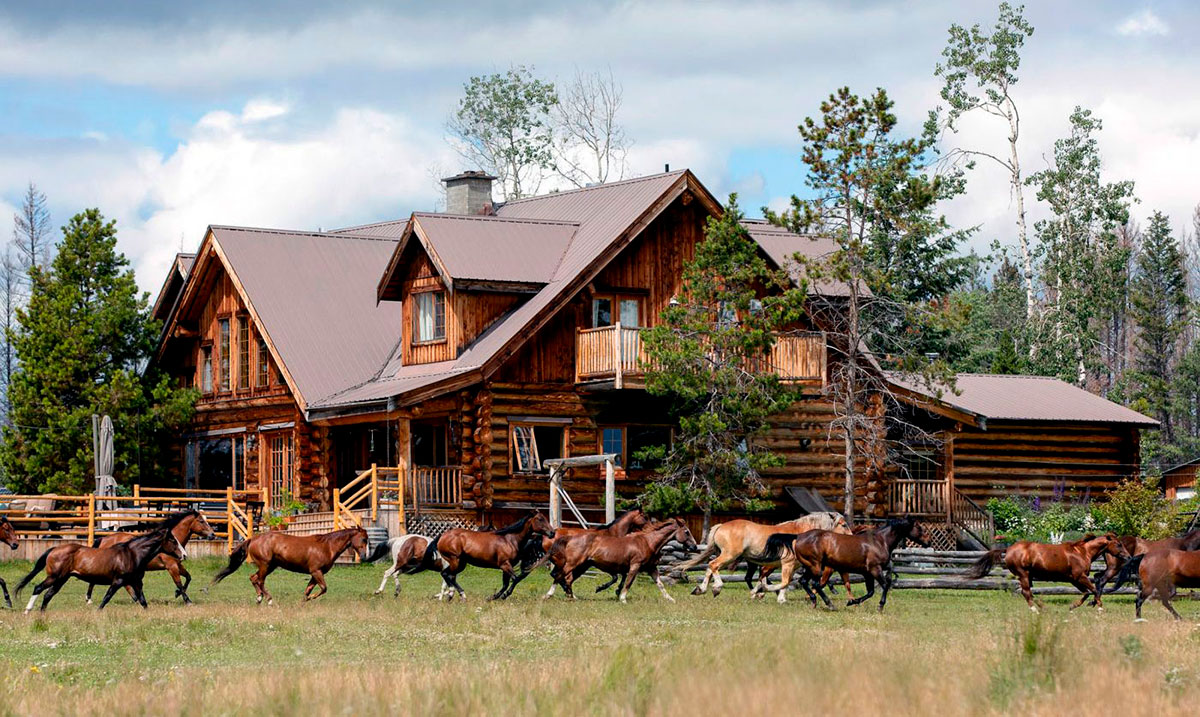 Lodge avec des chevaux au galop