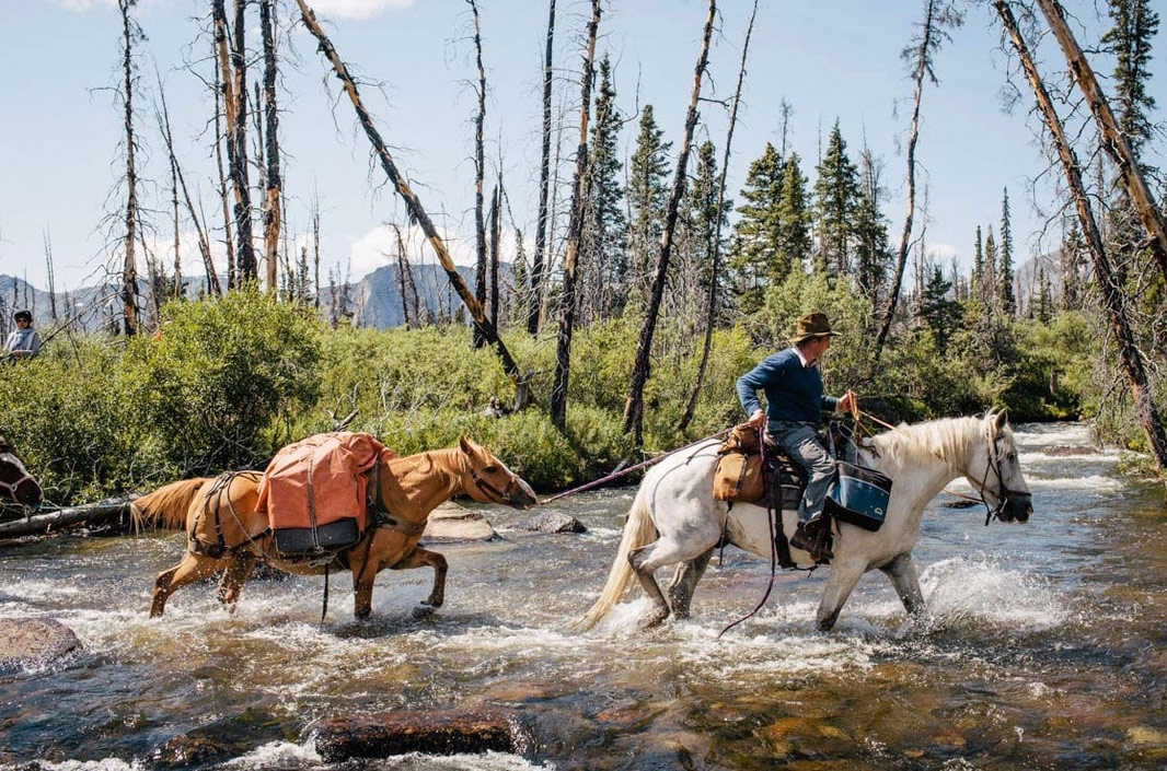 Expédition de chevaux au Yukon