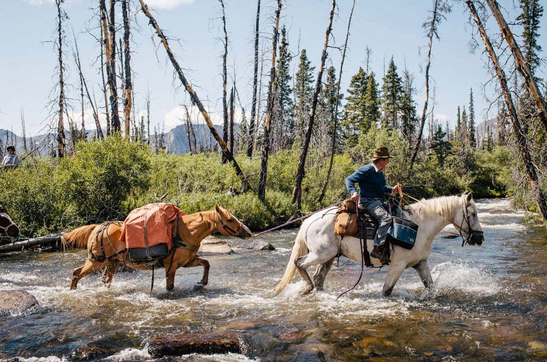 Expedición de caballos por Yukón