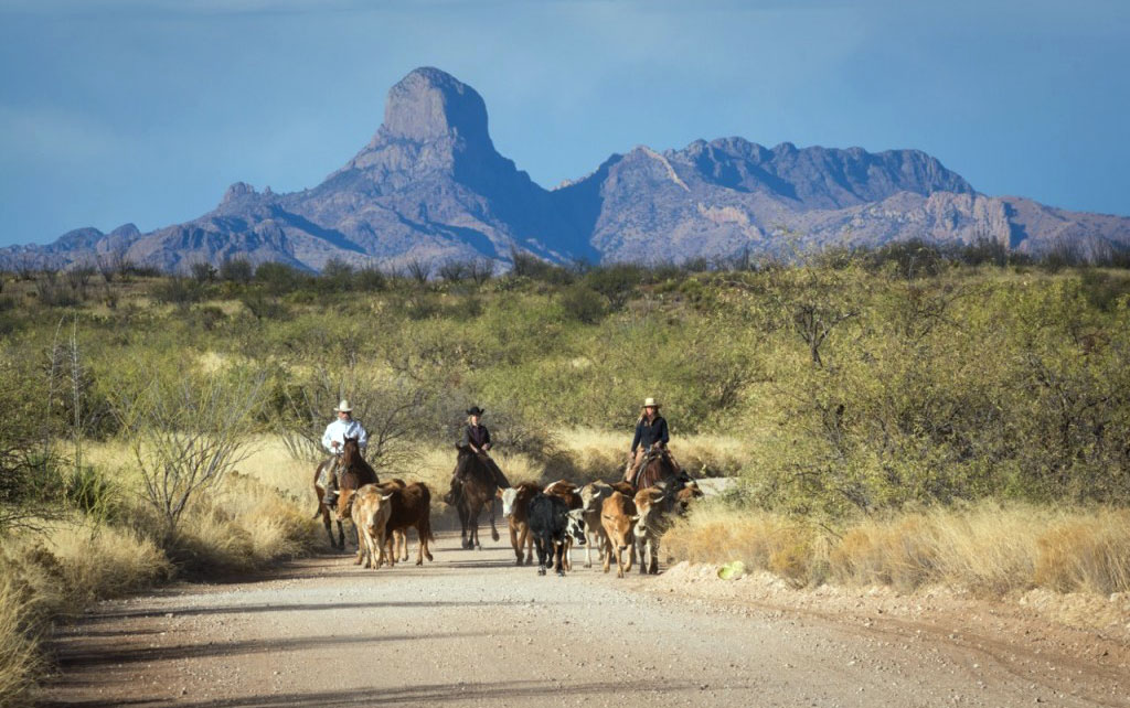 Arizona Hacienda Ranch Ruta a caballo