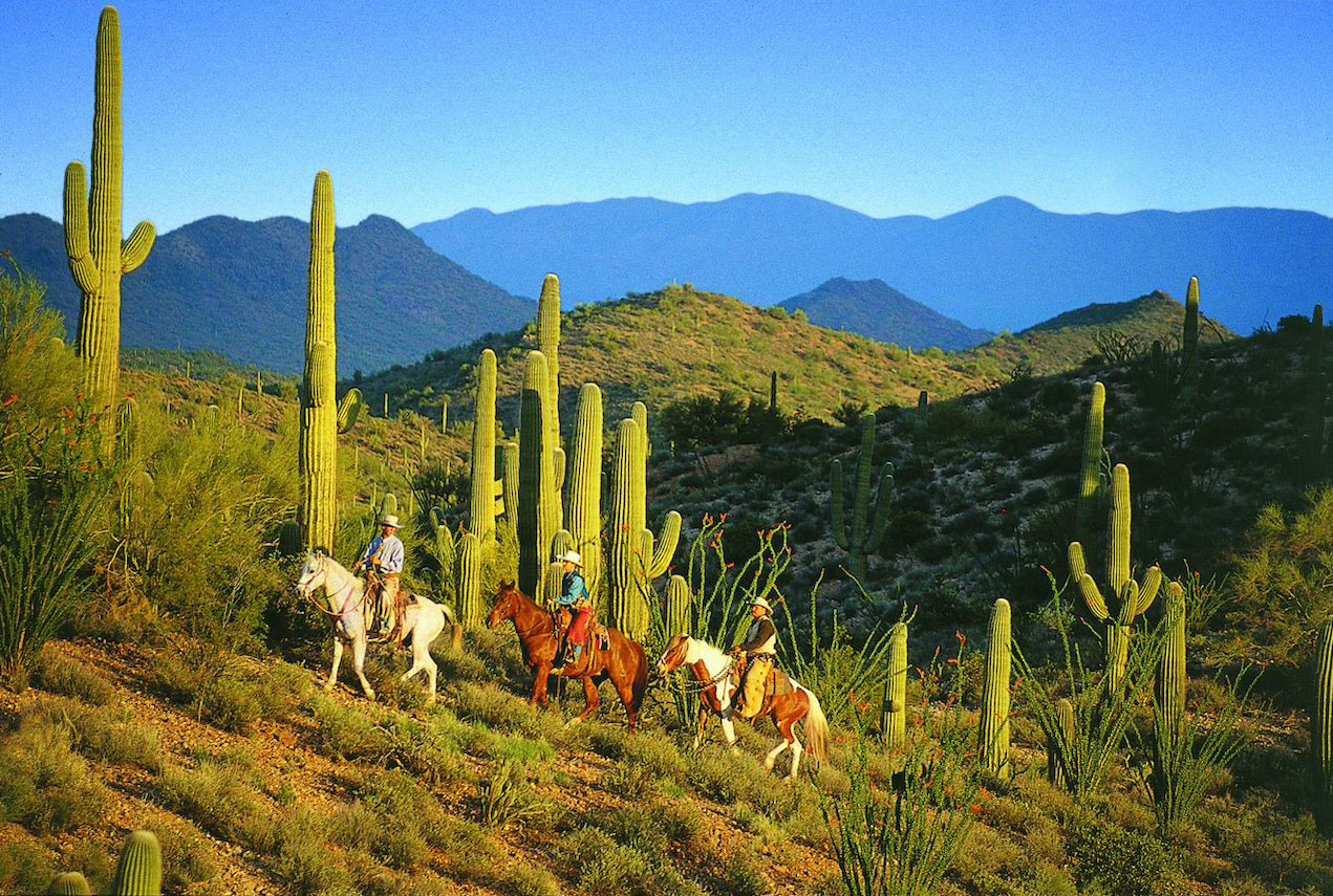 Route à cheval Arizona Hacienda Ranch