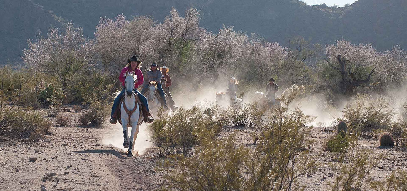 Route à cheval White Stallion Ranch