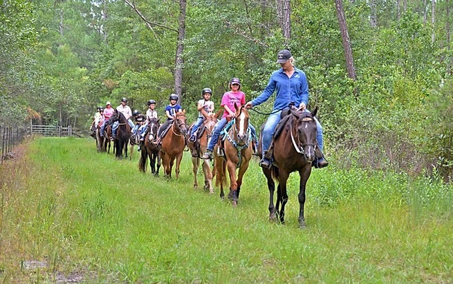 Children horse ride Diamond D Ranch