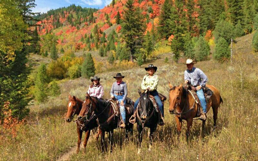 Ruta a caballo McGarry Ranch