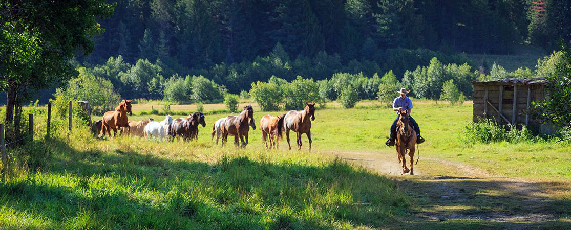 Western Pleasure Guest Ranch Pferderoute