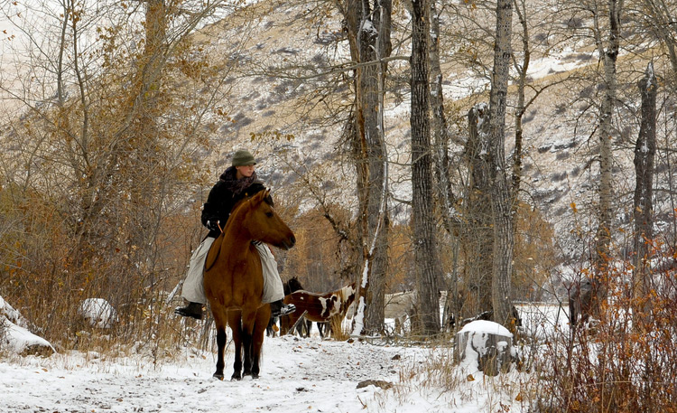 Reiten im Winter Montana