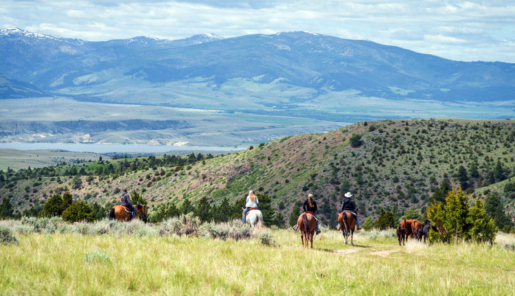 Pferderoute Montana