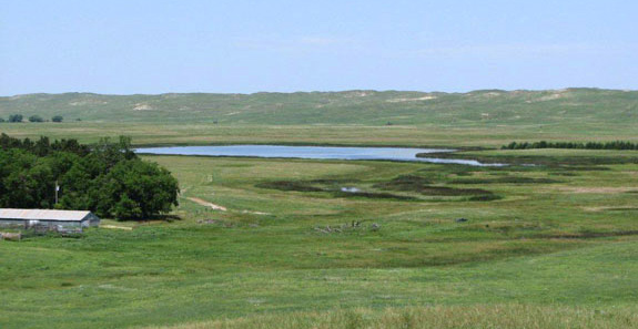 Nebraska Prairie fields