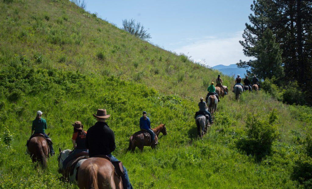 Horseback riding through Washington state