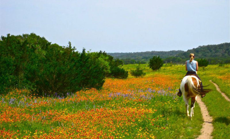Paseo a caballo Hill Country Equestrian Lodge
