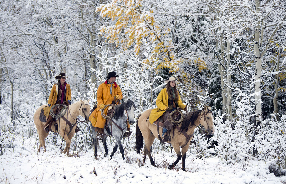 Route d'équitation en hiver