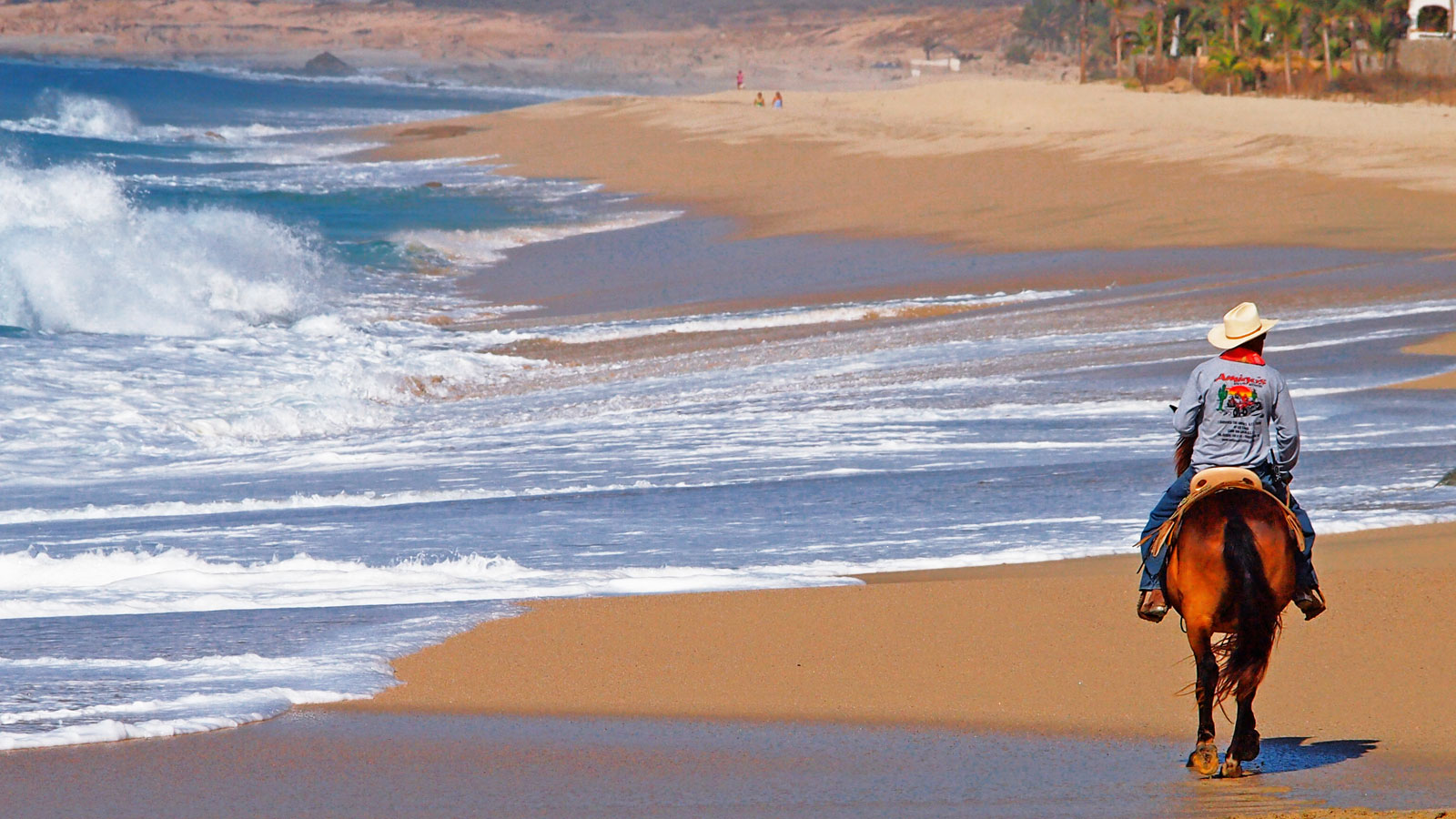 Équitation sur les plages du Mexique