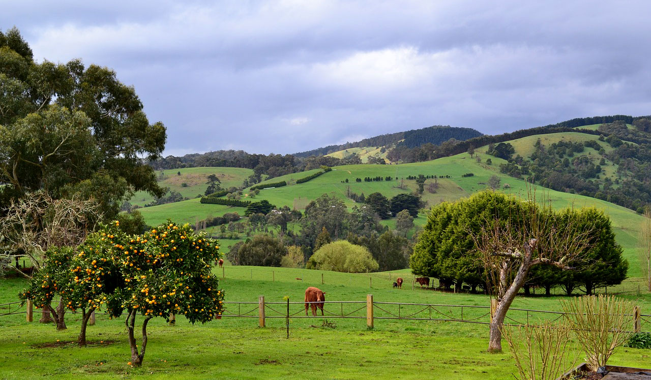 Región de Gippsland (Victoria)