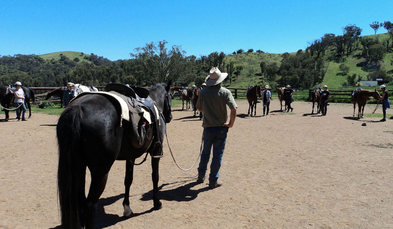 Cours d'équitation