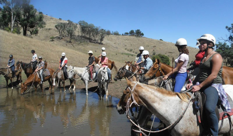 Cours d'équitation