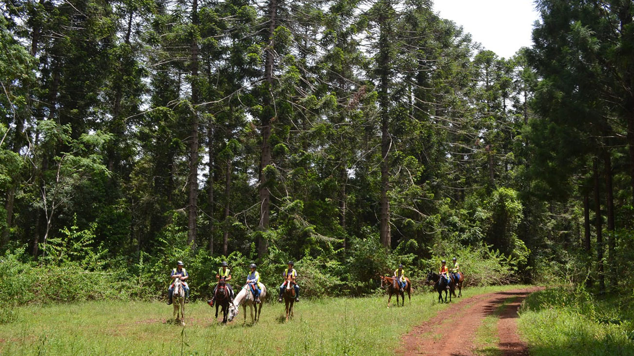 Horse trail